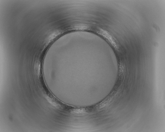 X0000115450110200911251315