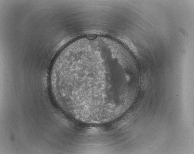 X0000115450111200911251315