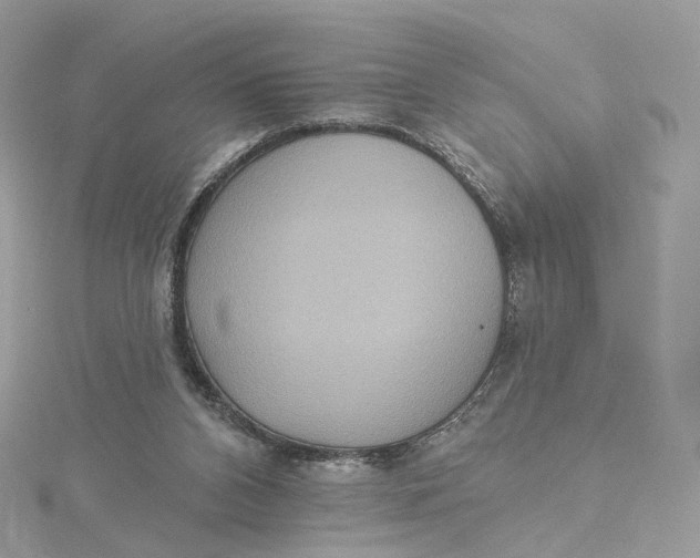 X0000115450112200911251315