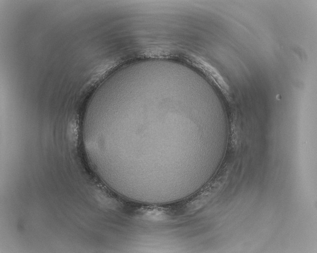 X0000115450113200911251315