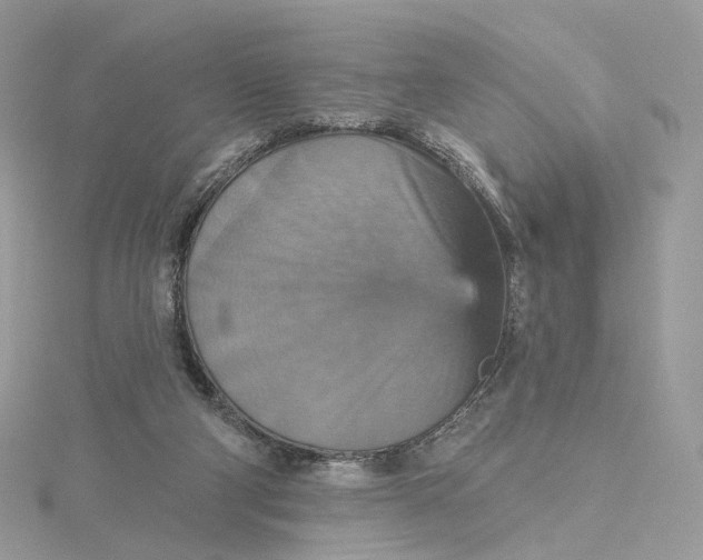 X0000115450114200911251315