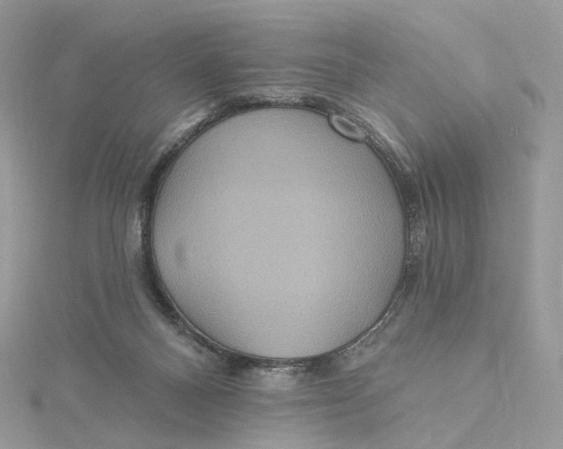 X0000115450120200911251315