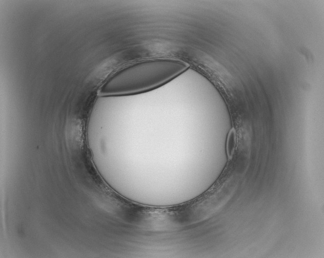 X0000115450121200911251315