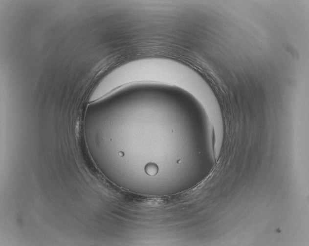 X0000115450124200911251315