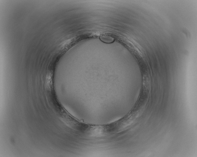 X0000115450127200911251315