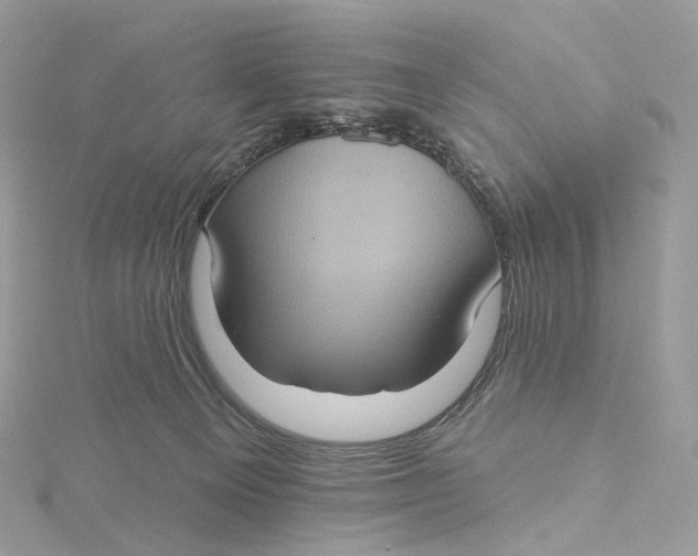 X0000115450129200911251315