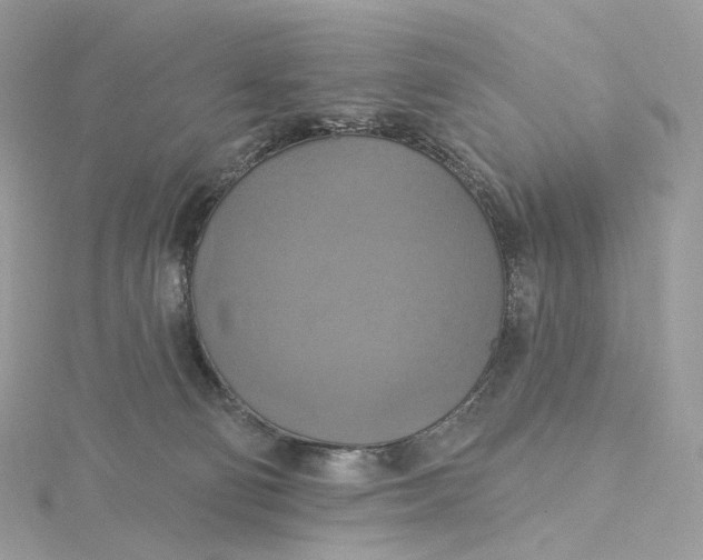 X0000115450130200911251315