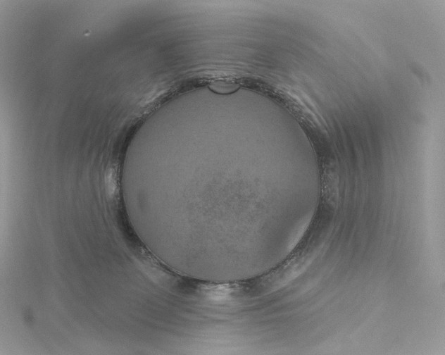 X0000115450131200911251315