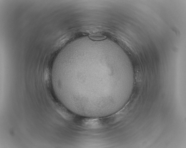 X0000115450132200911251315