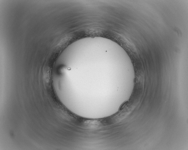 X0000115450133200911251315