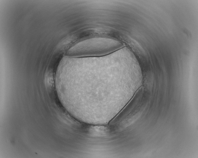 X0000115450137200911251315