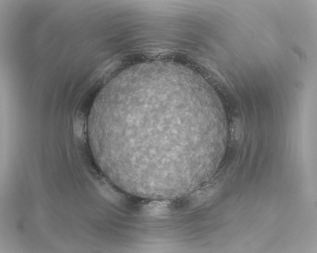 X0000115450138200911251315