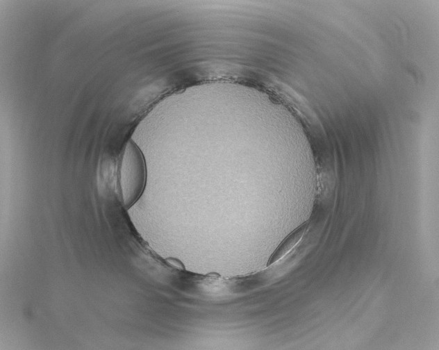 X0000115450142200911251315