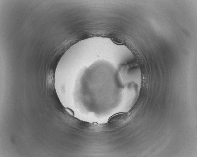 X0000115450143200911251315