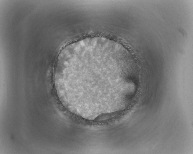 X0000115450144200911251315