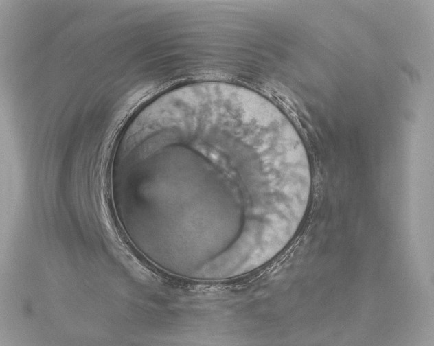 X0000115450145200911251314