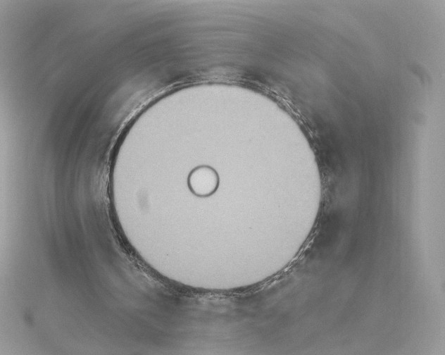 X0000115450146200911251314