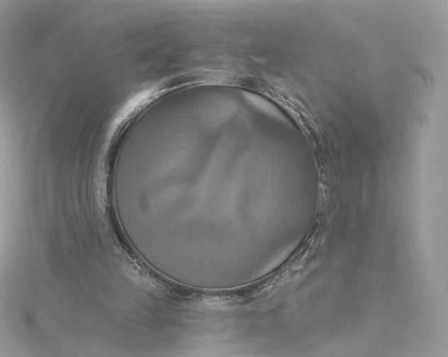 X0000115450149200911251314