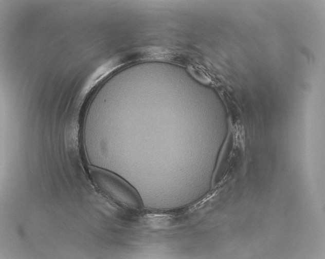 X0000115450150200911251314