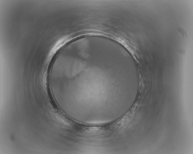 X0000115450151200911251314