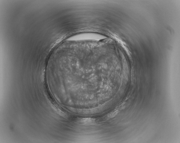 X0000115450153200911251314