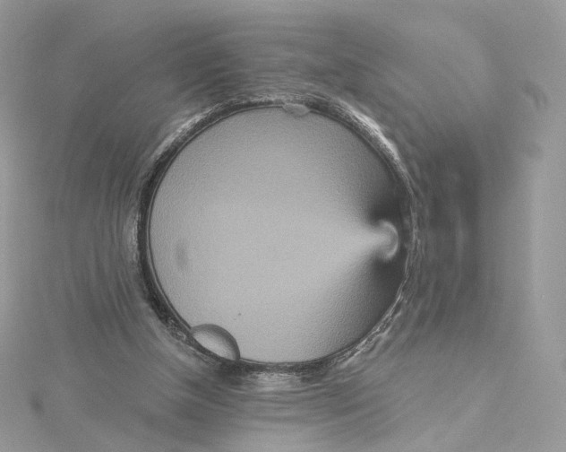 X0000115450154200911251314