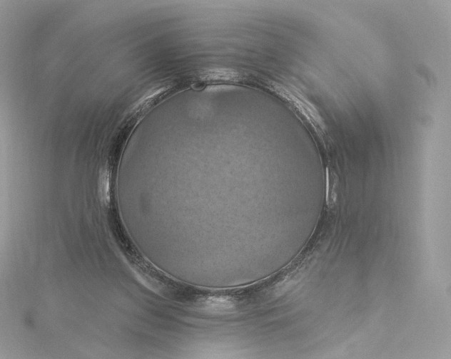 X0000115450157200911251314