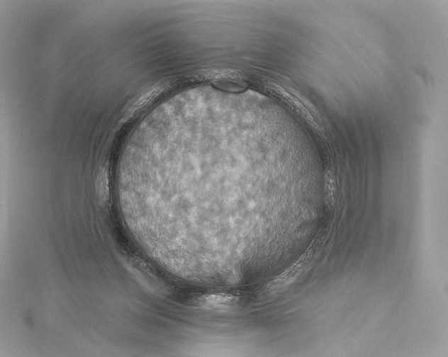 X0000115450158200911251314