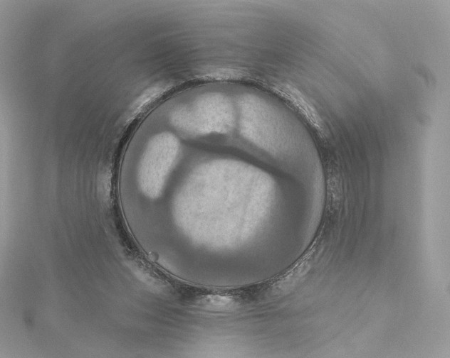 X0000115450159200911251314