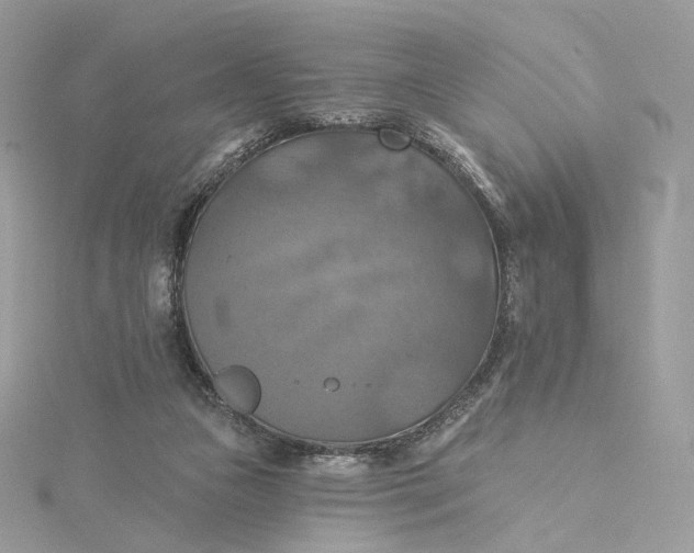 X0000115450161200911251314