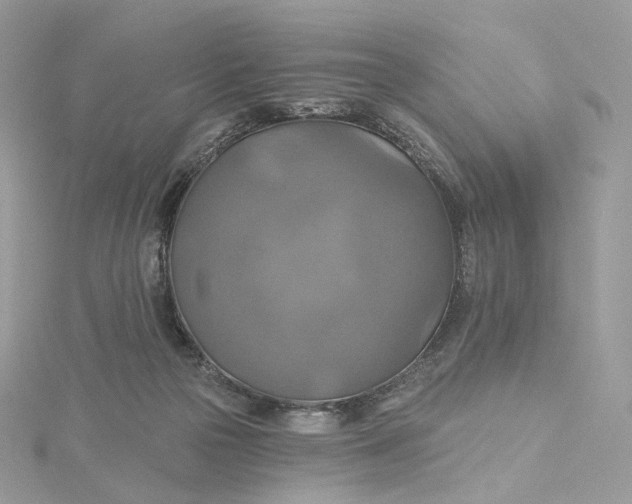 X0000115450169200911251314