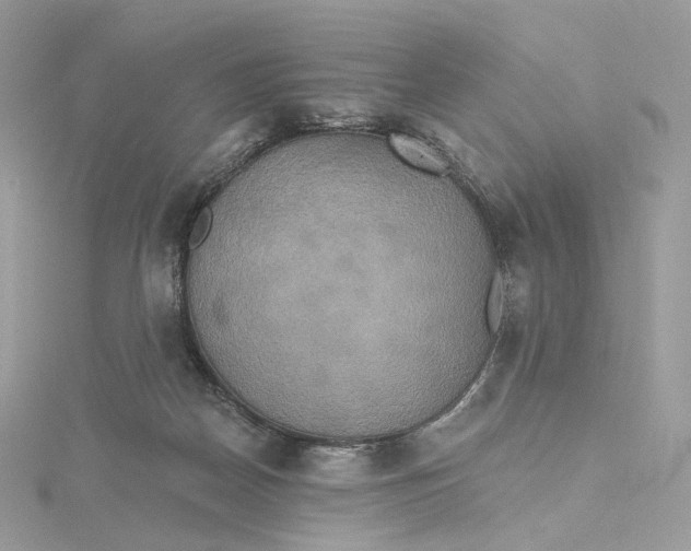 X0000115450170200911251314