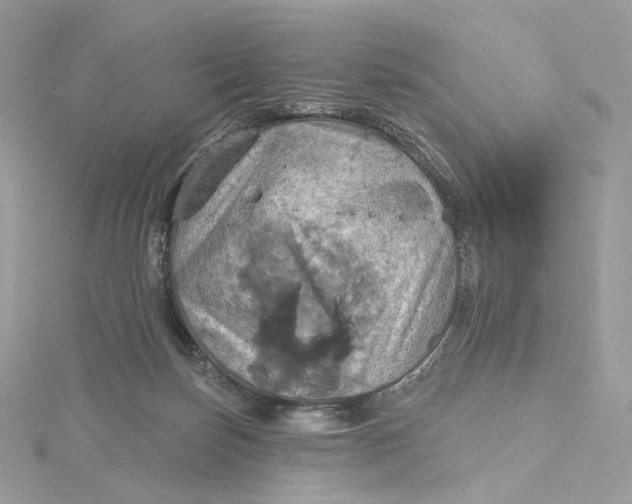 X0000115450171200911251314