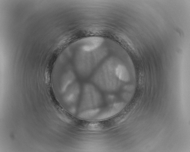 X0000115450173200911251314