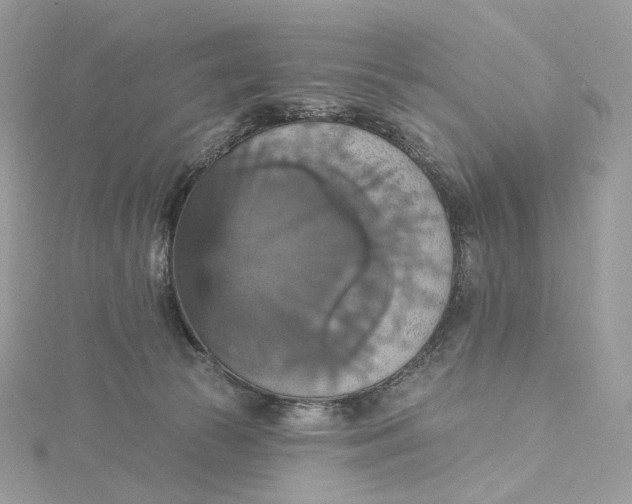 X0000115450177200911251314