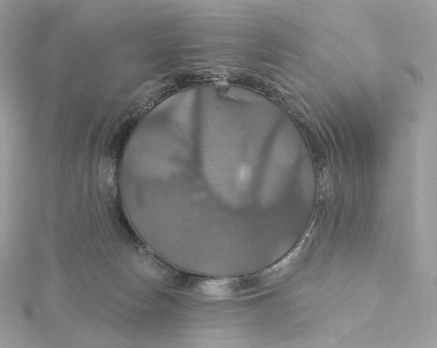 X0000115450178200911251314