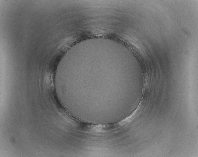 X0000115450182200911251314