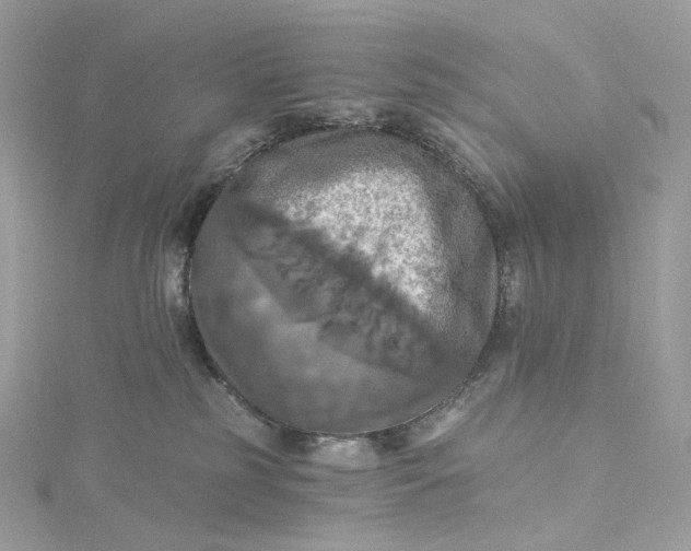 X0000115450185200911251314