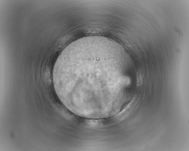 X0000115450187200911251314