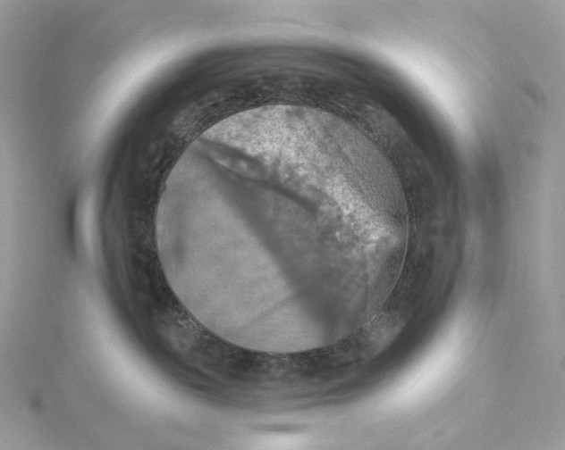 X0000115450189200911251315