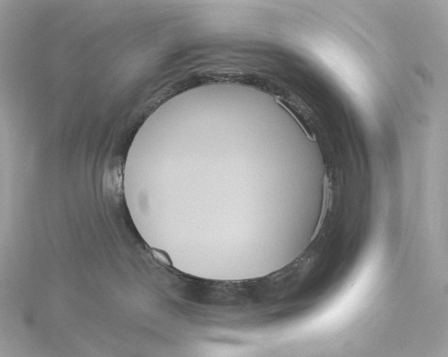 X0000115450190200911251315