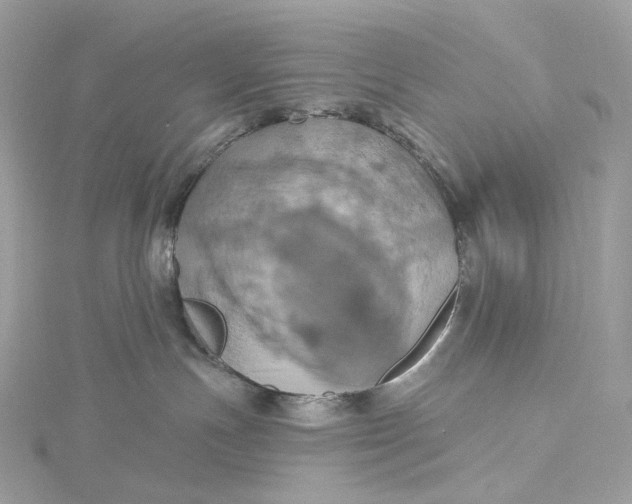 X0000115450191200911251315