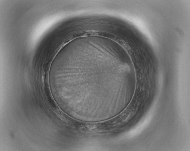 X0000115450194200911251314