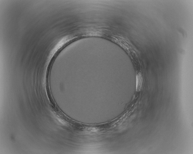 X0000115450195200911251314