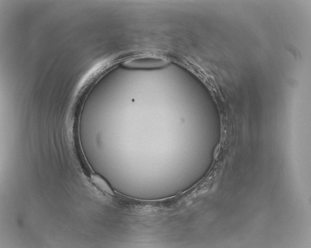 X0000115450197200911251314