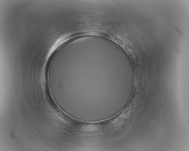 X0000115450198200911251314