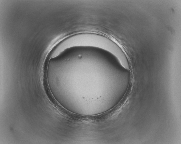 X0000115450199200911251314