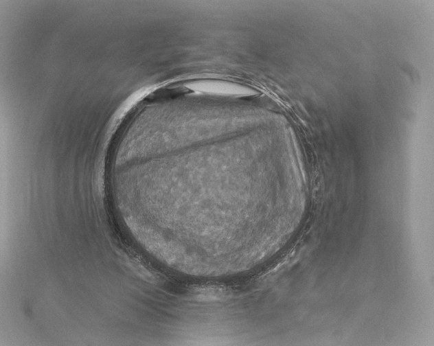 X0000115450200200911251314