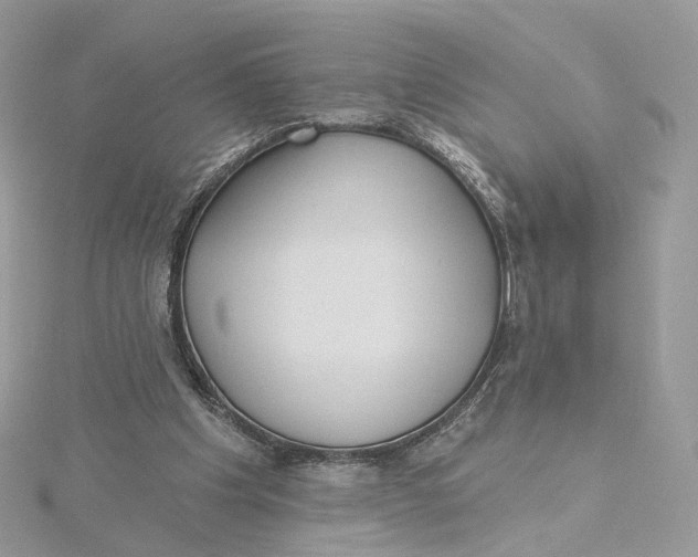 X0000115450201200911251314