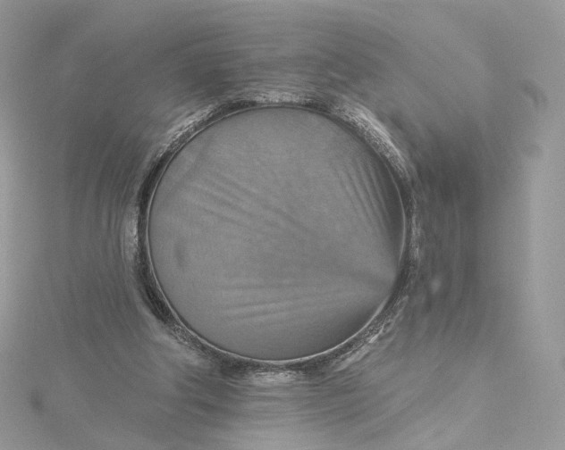 X0000115450202200911251314